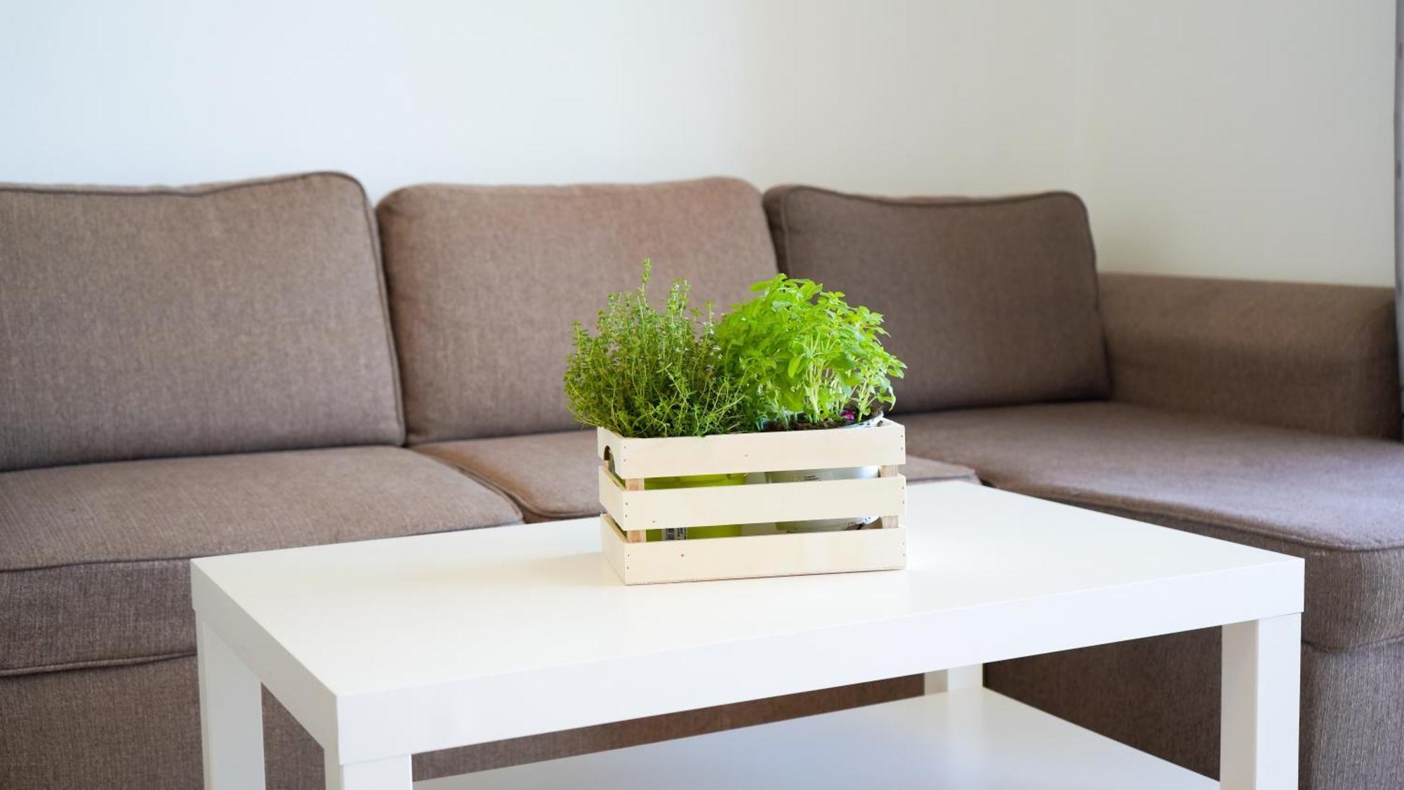 Apartament Lo Cor Del Delta Sant Jaume d'Enveja Εξωτερικό φωτογραφία